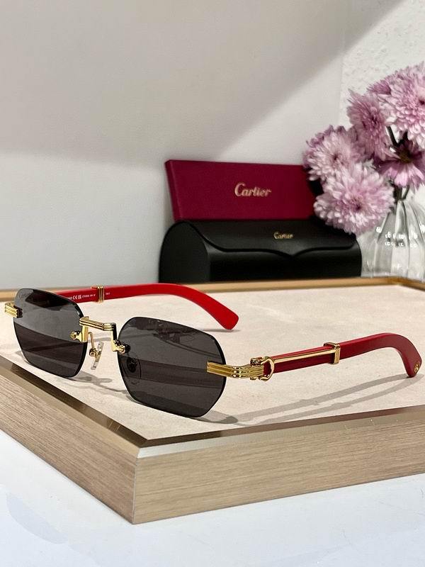 Cartier Sunglasses 114